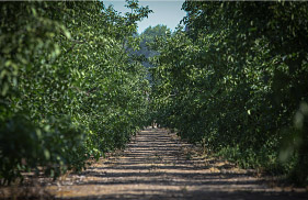 foto-agricola-carlos-vial